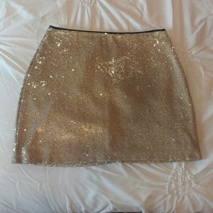 Sequined Skirt